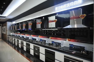 何止大吸力更乎大關懷 帥康引領家居品質升級的技術開發(fā)之路