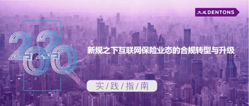 新規(guī)之下互聯(lián)網保險業(yè)態(tài)的合規(guī)轉型與升級丨大成 實踐指南 技術開發(fā)